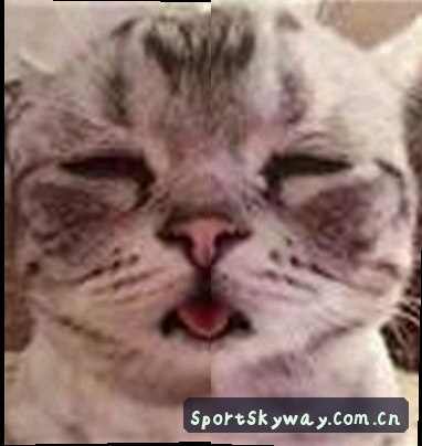 李伟